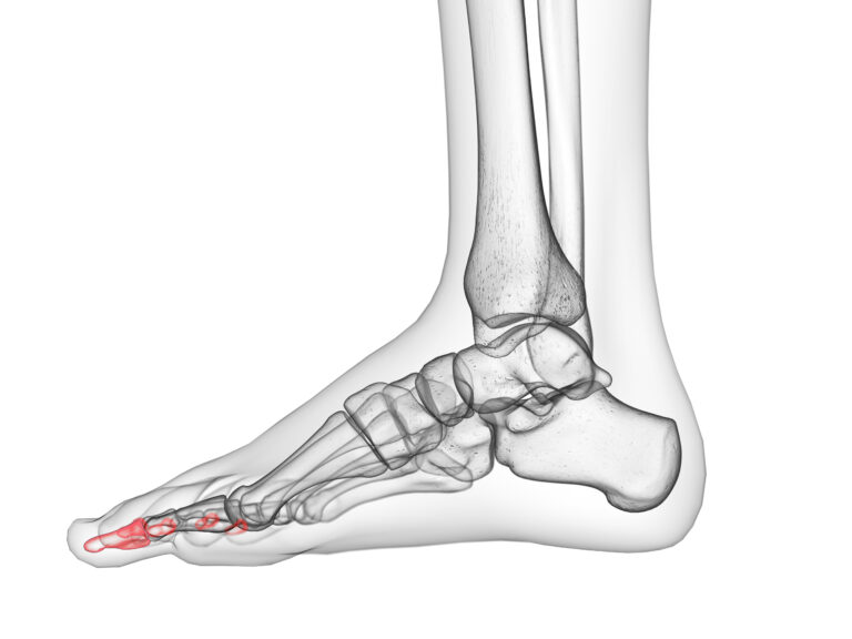 Anatomy TUESDAY – Palpation Series (Part 7) – Medial Ankle