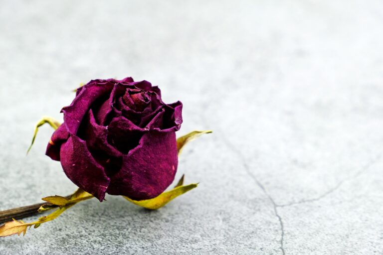 All About You FRIDAY – Secret Anniversaries