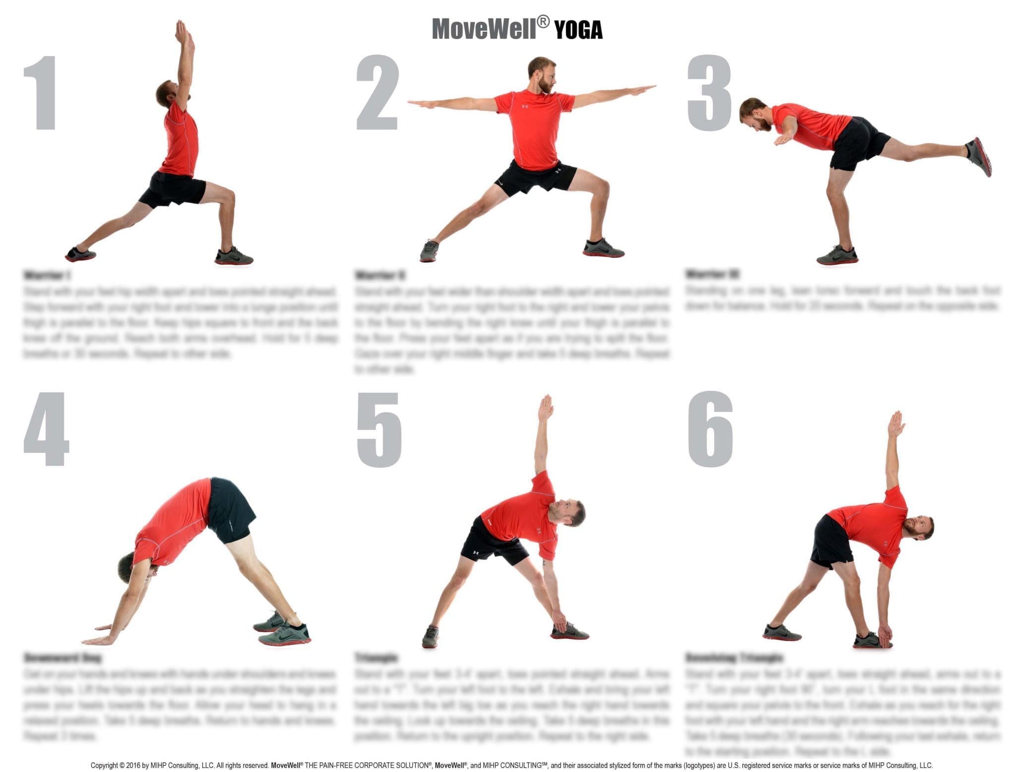 For Seniors Online Stretching Exercises Pilates Daily Dozen