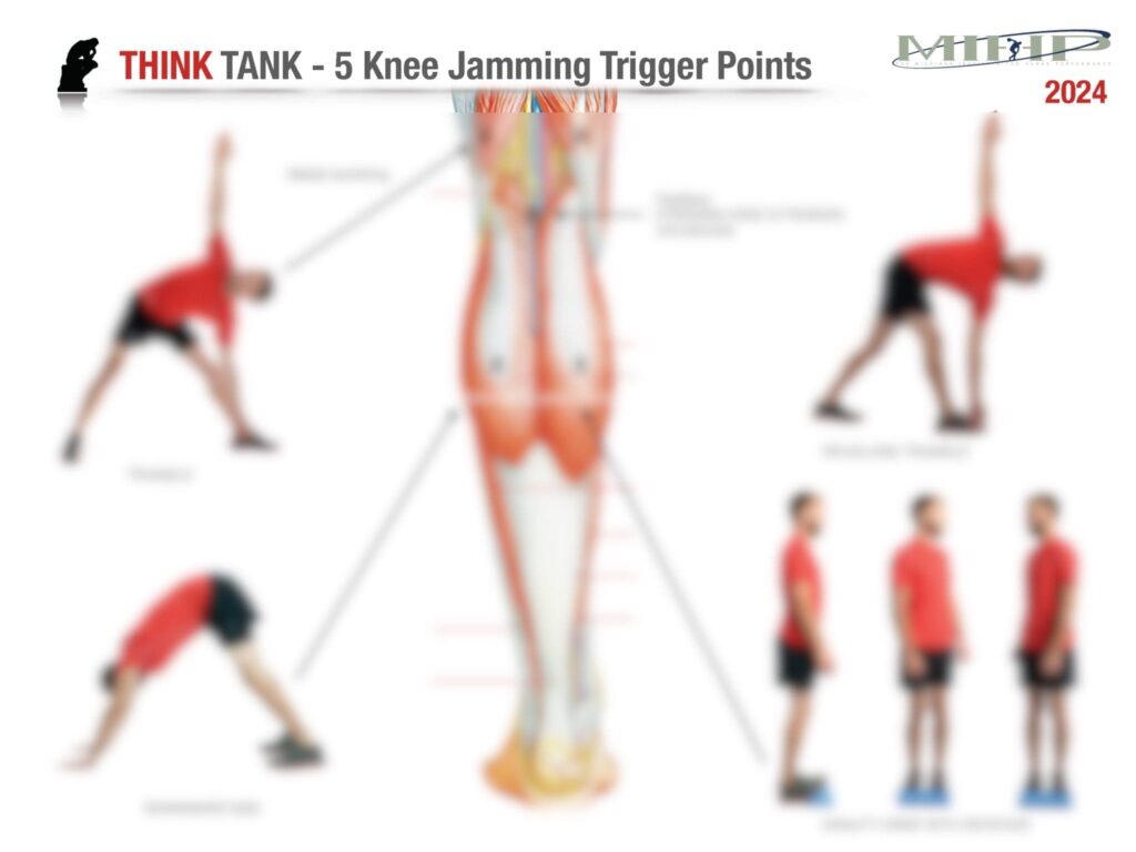 Thank Tank Five Knee Jamming Trigger Points (2024)