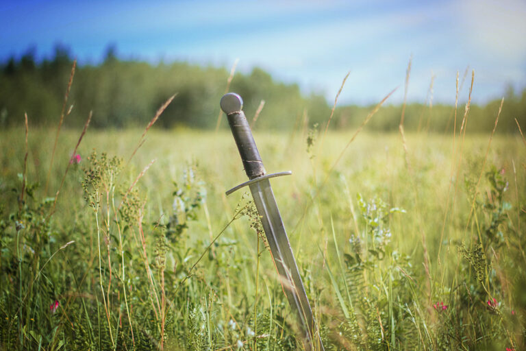 Sword standing upright in grassy field.