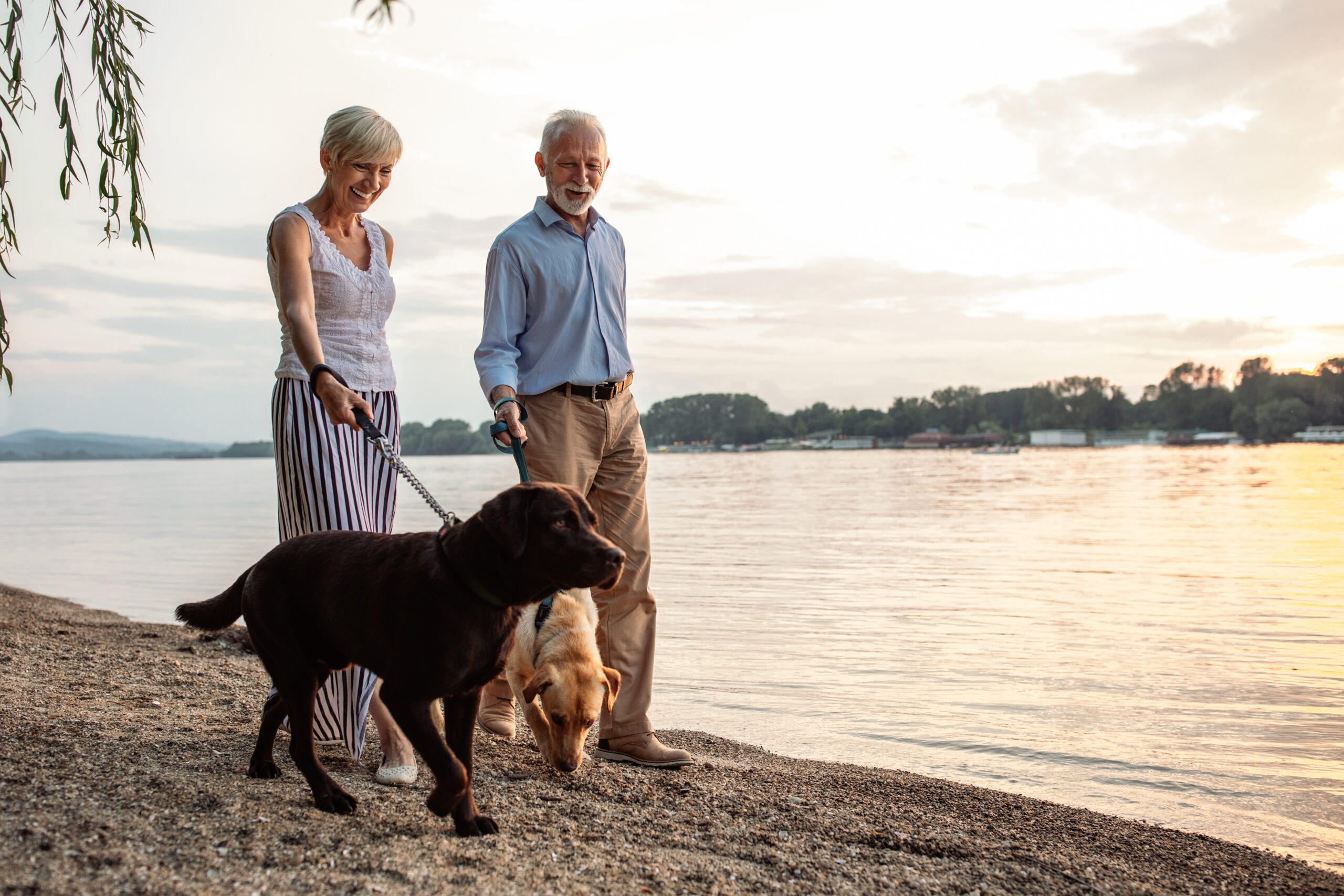 Elderly couple walking dogs by the lake.