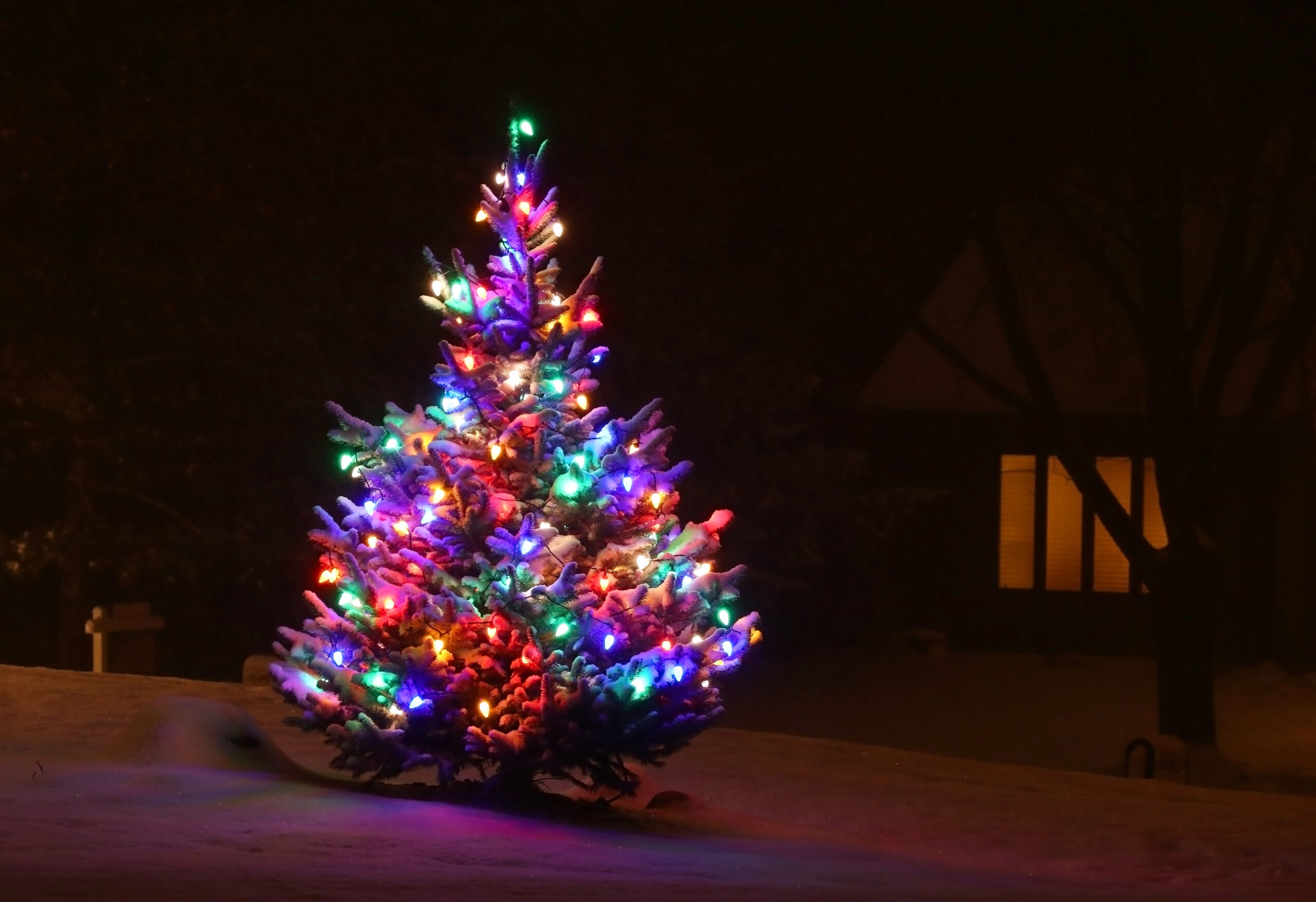 Festive Christmas tree with colorful lights in snow.