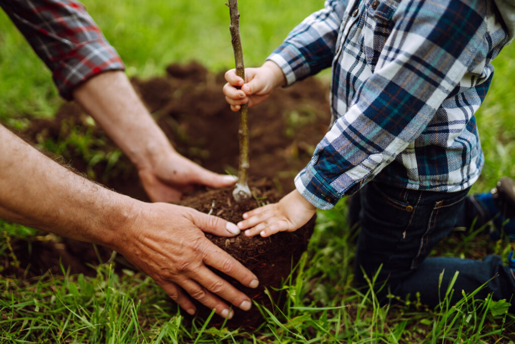 Child and adult planting a small tree together.
