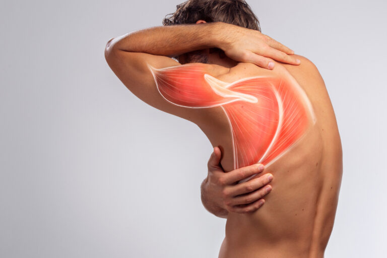 Man showing highlighted upper back muscles.