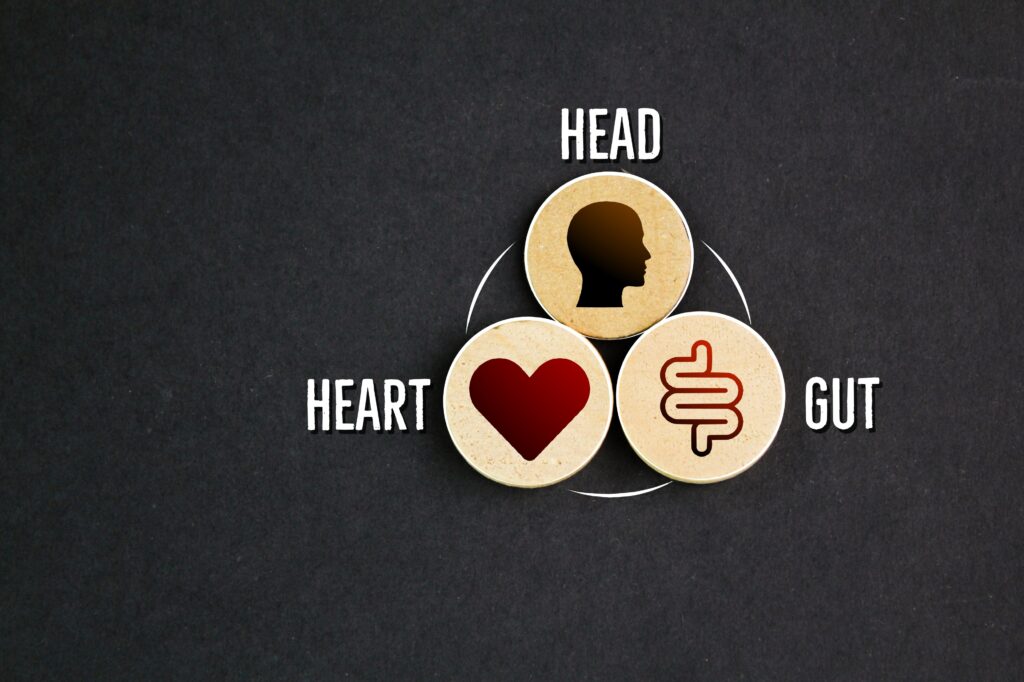 Diagram of head, heart, and gut connections.