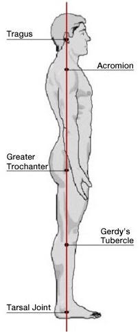 Human side profile anatomical landmarks illustration