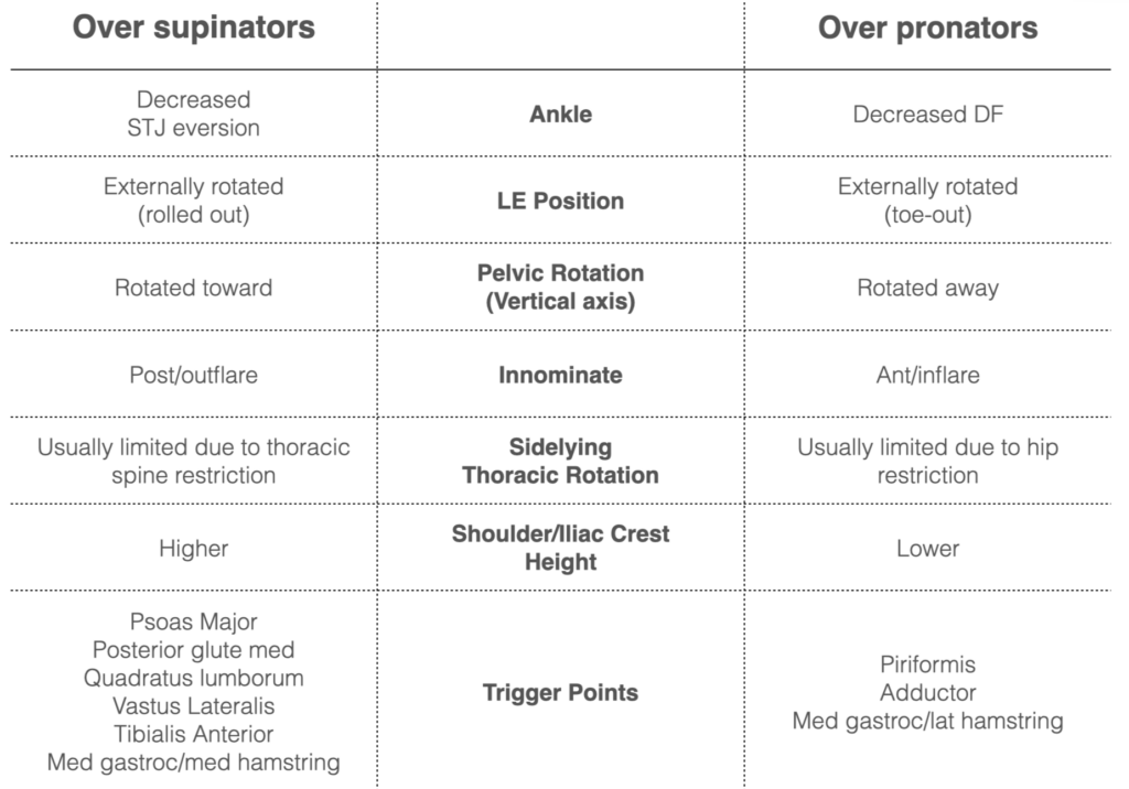 Comparison of supinators and pronators characteristics in body.